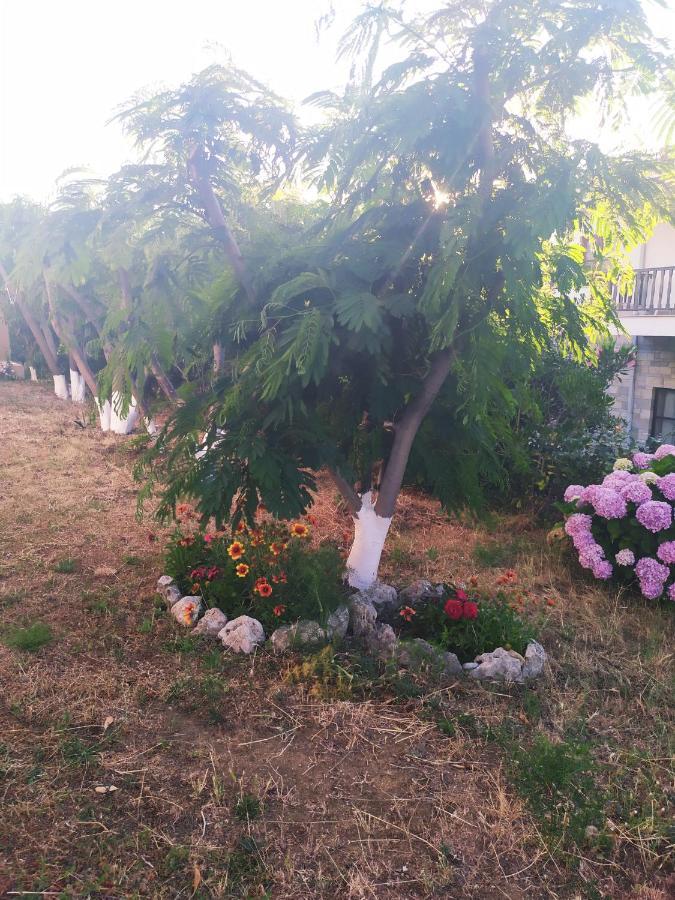 מלון Palaiopoli  Panorama Palaiοpolis מראה חיצוני תמונה
