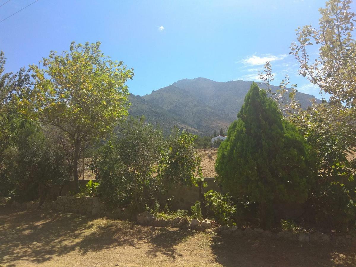 מלון Palaiopoli  Panorama Palaiοpolis מראה חיצוני תמונה