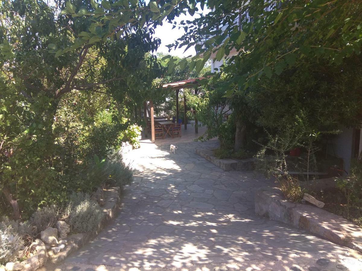 מלון Palaiopoli  Panorama Palaiοpolis מראה חיצוני תמונה